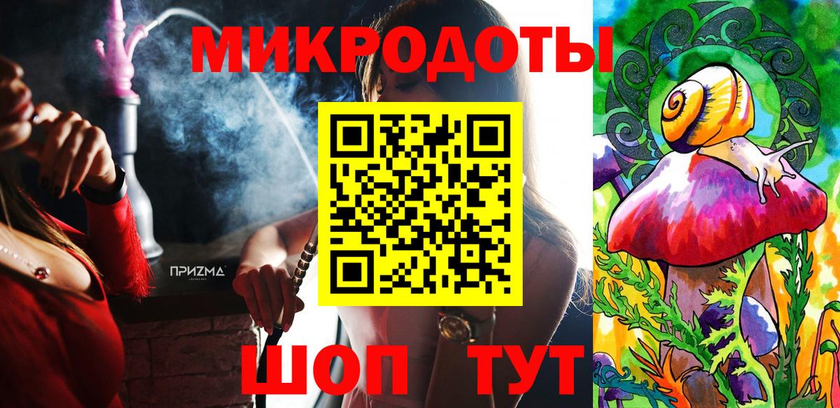 Псилоцибиновые грибы Psilocybine cubensis Конаково