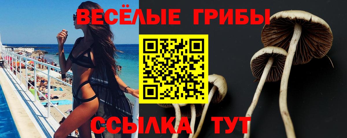 Псилоцибиновые грибы GOLDEN TEACHER  Конаково 